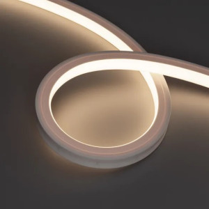 Гибкий неон  050605