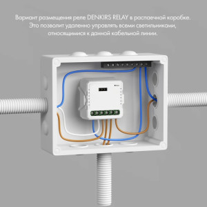 Wi-Fi реле Relay RL1003-DM