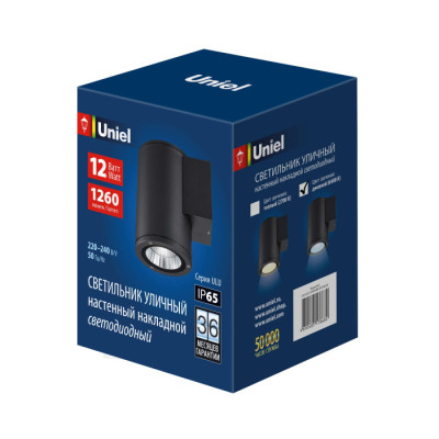 Архитектурная подсветка  ULU-S21С-12W/6400K IP65 BLACK